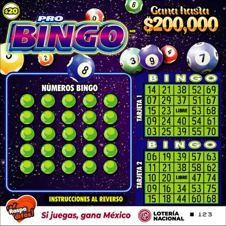 Raspadito Pro bingo (Sorteo 315)